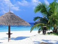 Go Goa Luxury Go Goa Luxury