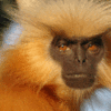 Chakrashila Wildlife Sanctuary Chakrashila Wildlife Sanctuary