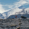 Govind Pashu Vihar Peaks Govind Pashu Vihar Peaks