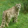 Govind Wildlife Sanctuary & National Park Govind Wildlife Sanctuary & National Park
