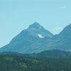 Grizzly Mountain