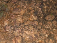 Gudiyam Caves Gudiyam Caves
