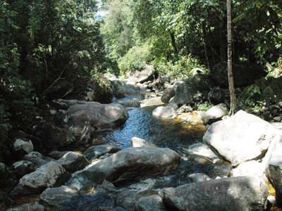 Gunung Stong State Park Dabong Malaysia Social Travel Network Touristlink