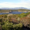 Giannutri