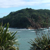 Goat Island