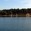 Poole Harbour