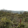 Mount Murud Mount Murud