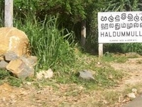 Haldummulla