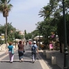 Zikhron Ya'aqov
