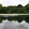 Hampstead Heath Pools Hampstead Heath Pools