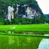 Harau Valley Harau Valley