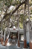 Hari Om Ashram Hari Om Ashram