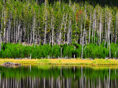 harlequin lake yellowstone