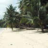 Havelock Island