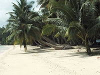 Havelock Island