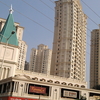 Thane Thane