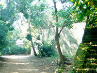 Ho Quyen - Tiger Arena