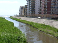 Ladispoli
