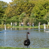 Hagley Park