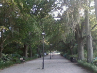 Hampton Park Hampton Park