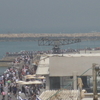 Tel Aviv Port