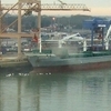 Harwich International Port