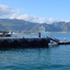 Hermanus Hermanus