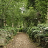 Highgate Cemetery Highgate Cemetery