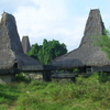 Sumba Sumba