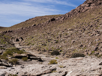 Inca Trail Inca Trail