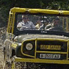 Indira Gandhi National Park Safari Indira Gandhi National Park Safari