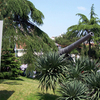Istanbul Military Museum Istanbul Military Museum