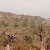 Bandafassi Bandafassi