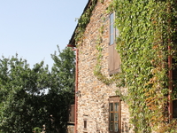 Img 0368 Img 0368