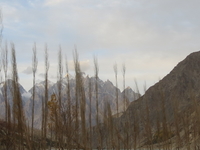 Hunza valley Tour