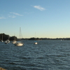 Iron Cove