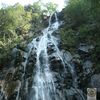 Bee Falls Bee Falls