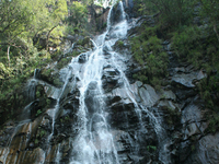 Bee Falls