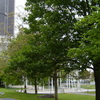 Jardin Atlantique Jardin Atlantique