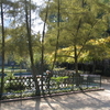 Jardin Catherine-Labouré Jardin Catherine-Labouré