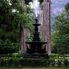 Jardim Botânico Jardim Botânico