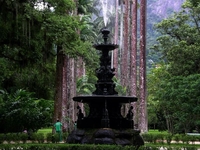 Jardim Botânico Jardim Botânico