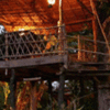 Jungle Machaans Jungle Machaans