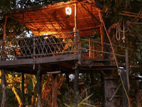 Jungle Machaans