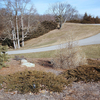Juniper Hills