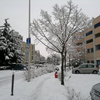 Juvisy-sur-Orge Juvisy-sur-Orge