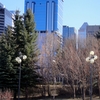 Jamieson Place