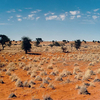 Kalahari Desert