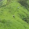 Kamshet Kamshet