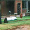 Kanoria Center for Arts Kanoria Center for Arts
